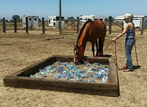 Horse obstacles plastic bottles Obstacle Course Ideas, Horse Obstacles, Obstacle Course Training, Horse Training Exercises, Horse Lessons, Horse Arena, Course Ideas, Horse Exercises, Horse Games