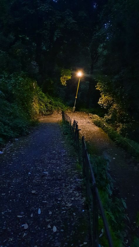 Evening Walk Aesthetic, Dark Summer Aesthetic, Hometown Aesthetic, Summer Evening Aesthetic, Evening Aesthetic, Dark Forest Aesthetic, Dark Summer, Night Walks, Quiet Evening