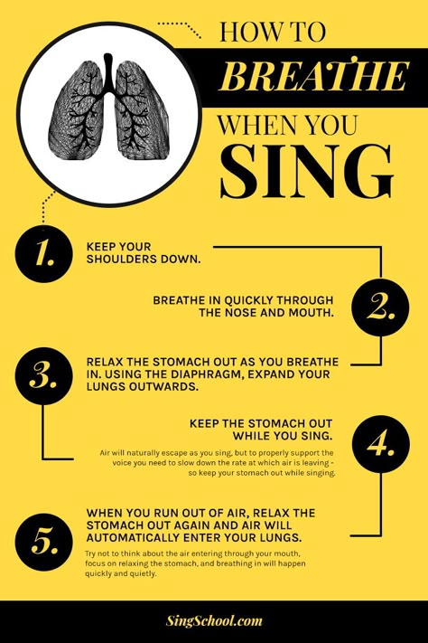 Breath support is the basis for everything in singing. If you do it properly you should have zero tension in your throat. It’s also the reason you can make a sound in the first place because without moving air, there’s nothing to vibrate the vocal cords. Vocal Warmups, Singing Exercises, Vocal Cords, How To Breathe, Singing Techniques, Vocal Training, Learn Singing, Vocal Lessons, Vocal Exercises