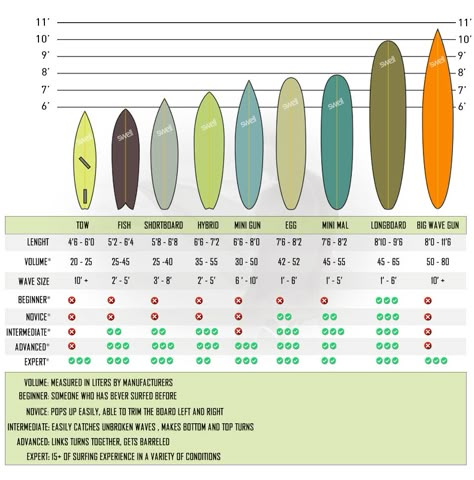 Different surfboards and shapes explained Longboard Surfboard, Fish Surfboard, Surfing Tips, Mavericks Surfing, Sup Stand Up Paddle, Wooden Surfboard, Surfboard Shapes, Surfboard Art, Surfboard Design