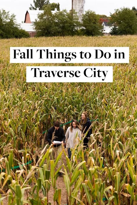 Fall Family Friendly Things to do in Traverse City, Michigan. Traverse City Michigan Fall, Fall In Michigan, Michigan Fall, Travel Michigan, Michigan Adventures, Destination Vacation, Michigan Road Trip, Travel Wishes, Traverse City Michigan