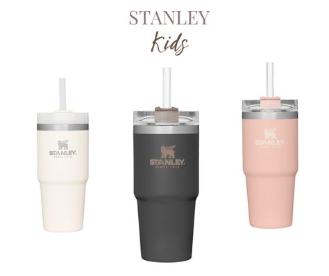 Baby Stanley Cup, Kids Stanley Cup, Stanley Bottle, Stanley Water Bottle, Christmas Ideas Gifts, Baby Presents, Straw Cup, Kids Cups, Kids Water