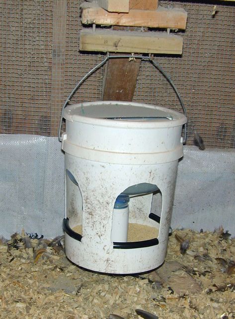 aart's Waste-Free Funnel Bucket Feeder | BackYard Chickens - Learn How to Raise Chickens Chicken Nesting Boxes, Chicken Feeder, Chicken Cages, Diy Chicken, Perfect Chicken, Nesting Box, Backyard Chicken Coops, Chicken Diy, Chicken Runs