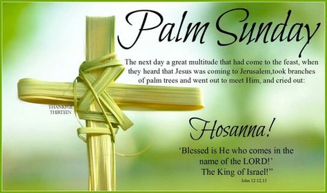 Palm Sunday Happy Palm Sunday Quotes, Palm Sunday Quotes, Quotes For Family, Happy Palm Sunday, Quotes From The Bible, Christmas Facebook Cover, Sunday Pictures, Sunday Images, Baby Christmas Photos