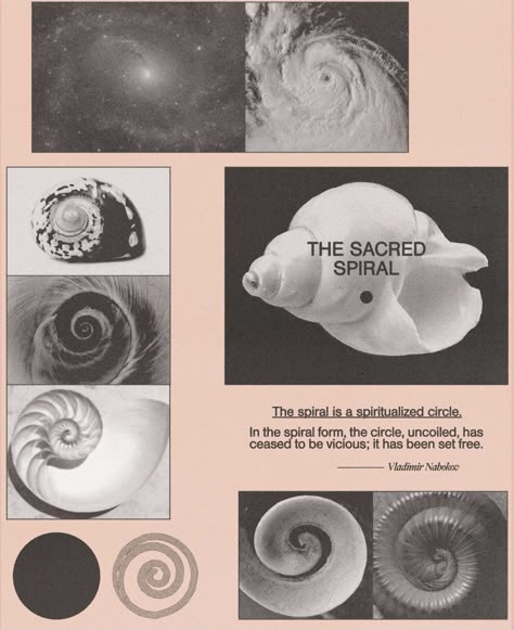 Logo Exploration, Spirals In Nature, Sacred Spiral, Golden Spiral, Fibonacci Spiral, The Spiral, Ethereal Art, Free Learning, Set Free