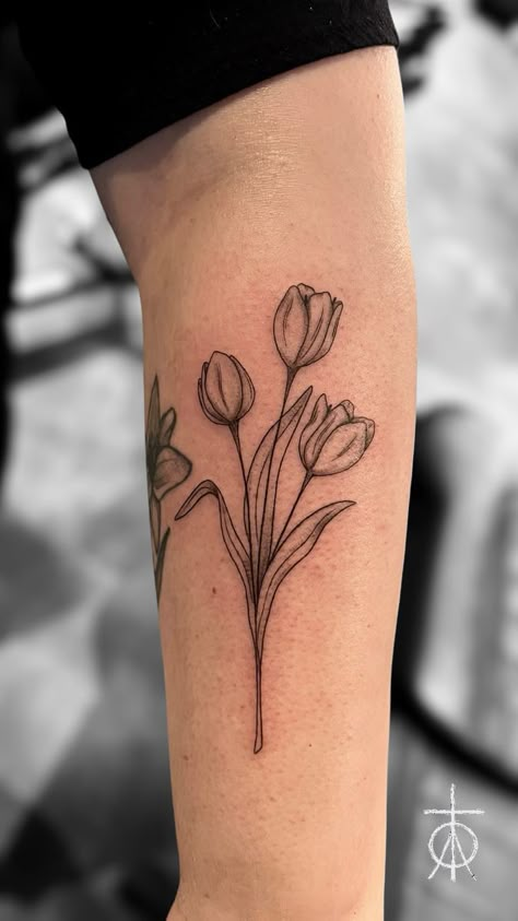 Tattoo uploaded by Claudia Fedorovici • Fine Line Tulips Tattoo by Claudia Fedorovici #finelinetattooartist #fineline #tulips #finetattoos #tattooartistsamsterdam #floraltattoo #claudiafedorovici #ascetictattoo #tempesttattooamsterdam Tulip Flowers Tattoo, Three Tulips Tattoo, Vase Of Tulips Tattoo, Tulip Vine Tattoo, Tulip In A Cup Tattoo, 3 Tulips Tattoo, Tulip Forearm Tattoo, Bouquet Of Tulips Tattoo, Tulip Tattoo Sleeve