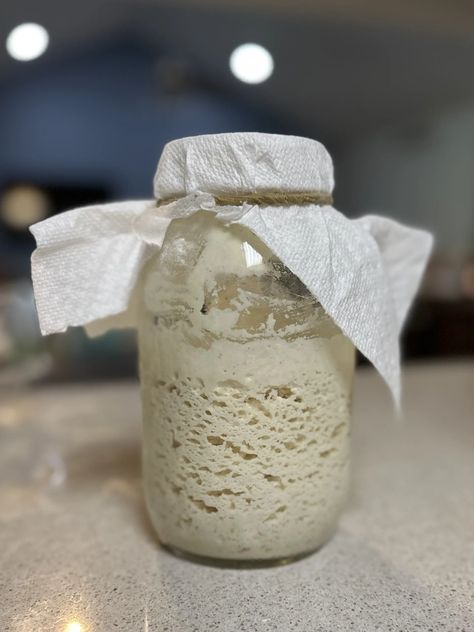 Gluten-Free Sourdough Starter (No Discard) - Madison Loethen Gluten Free Fluffy Bread, Diy Gluten Free Sourdough Starter, Madison Loethen, Gluten Free Sourdough Recipes, Gluten Free Sourdough Discard Recipes, What Is Sourdough, Gluten Free Sourdough Starter, Gluten Free Bread Machine, Gluten Free Sourdough Bread