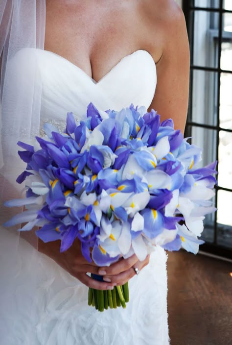 Irises!!!!! Image compliments of Michael Paul Photography www.michaelpaulphoto.com Bouquet by Karla Cassidy Designs www.karlacassidydesigns.com Blue Iris Wedding Bouquet, White Iris Wedding Bouquet, Wedding Bouquets With Irises, Iris Bridal Bouquet, Iris Wedding Flowers, Iris Wedding Bouquet, Irises Bouquet, Iris Bouquet, Iris Wedding