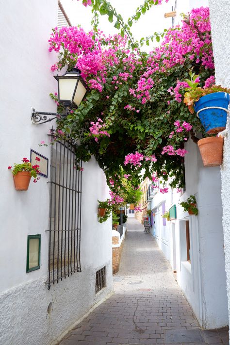 Mojacar almeria blanco pueblo mediterran... | Premium Photo #Freepik #photo Gap Year, Bougainvillea, Malaga, Premium Photo, Granada, Travel Pictures, Painting & Drawing, Places To Visit, Spain