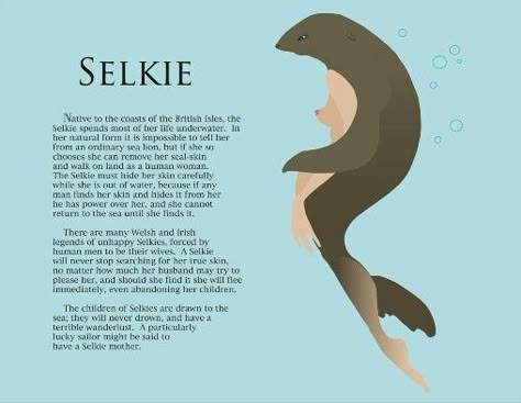 Selkies Myths & Monsters, Irish Mythology, Legends And Myths, Celtic Mythology, Sea Witch, Urban Legends, Mythological Creatures, Mystical Creatures, My Class