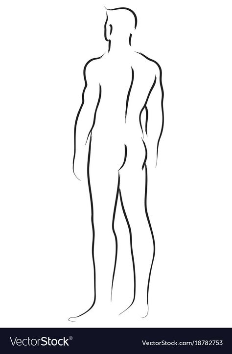 Body Line Drawing Simple, Line Art Drawings Man, Male Line Drawing, Male Body Line Art, Man From Behind, Tracing Art, Simple Line Art, Human Body Drawing, Body Template