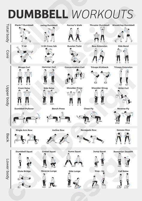 Exercise Illustration, Fitness Before After, Dumbbell Exercise, Dumbbell Exercises, Motivasi Diet, Dumbell Workout, Trening Fitness, Gym Routine, Workout Chart