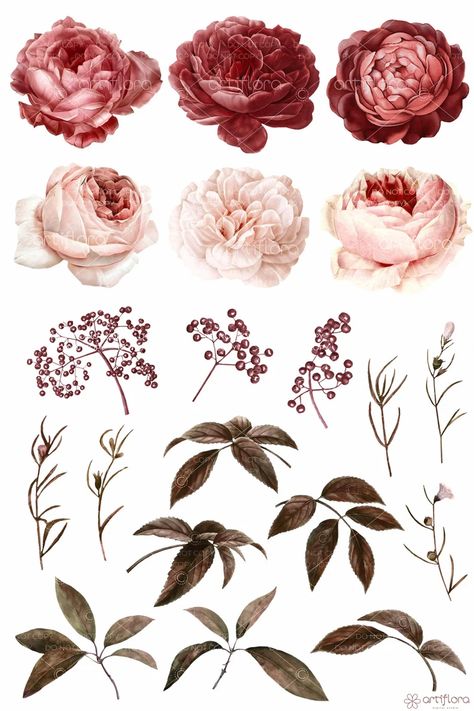 Watercolor Floral Clipart Rose Clipart Red Burgundy Flowers - Etsy Poland Burgundy Flower Painting, Aesthetic Flowers For Journal, Burgundy Watercolor Flowers, Jaehyun Favorite, Red Flower Background, Villa Logo, Drawing Roses, Old Flowers, Roses Clipart