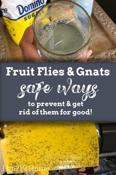 How To Get Rid Of Nats In The Kitchen, Get Rid Of Nats House, How To Rid Fruit Flies, Gnat Traps Homemade, Rid Of Fruit Flies In House, How To Get Rid Of Fruit Flies And Nats, Catch Fruit Flies In House, How To Get Rid Of Gnats In The Kitchen, How To Kill Gnats In The House