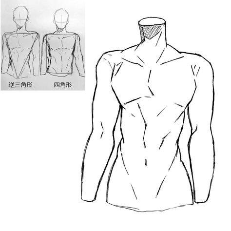 Muscled Body Drawing, Beret Drawing Reference, Waist Grab Drawing Reference, How To Draw Manhwa Style Tutorial, Art Pose Inspiration, How To Draw Six Pack, Male Side View Reference, Muscles Reference Drawing, Shirtless Reference