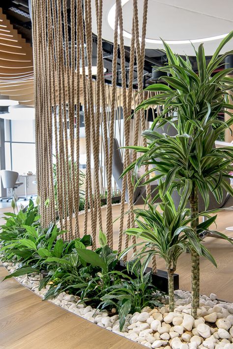 Oasis Interior Design, Indoor Landscape Design, Modern Indoor Plants, Indoor Landscape, Interior Landscaping, Ouzo, Plant Decor Indoor, Interior Plants, Office Plants