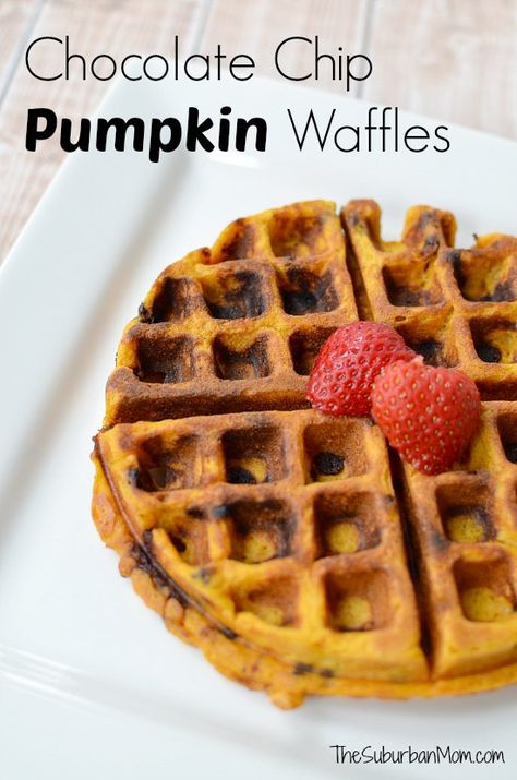 Chocolate Chip Pumpkin Waffles Chocolate Chip Waffles Recipe, Pumpkin Waffle Recipe, Waffles From Scratch, Waffles Chocolate, Pumpkin Waffles Recipe, Chocolate Chip Waffles, Suburban Mom, Pumpkin Spice Recipe, Waffles Recipe