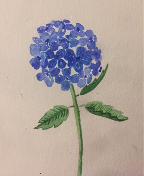 Hydrangea Easy Painting, Blue Flower Drawing Easy, Blue Hydrangea Drawing, Easy Hydrangea Painting, Hydrangea Drawing Simple, Hydrangea Painting Easy, Hydrangea Sketch, Hydrangea Watercolor Painting, Hydrangea Drawing