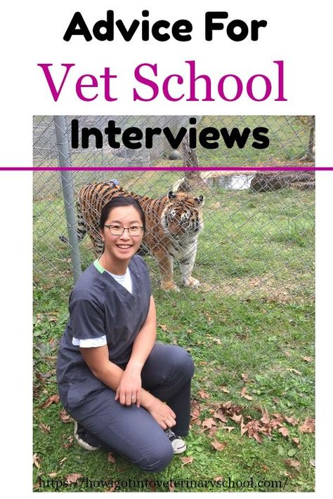 After making her decision to apply to veterinary school, Tobi used her proximity to the vets she worked with to “become the willing recipient of the knowledge they poured out!” #vetschool #MSU #vetmed #vetstudent #vettechlife #animallover #ilovecats #veterinarycollege #DVM #college Vet Science Activities, Vet Tech School, Vet Notes, Biology College, Nursing School Scholarships, Vet Tech Student, Veterinary Tech, Becoming A Veterinarian, School Interview