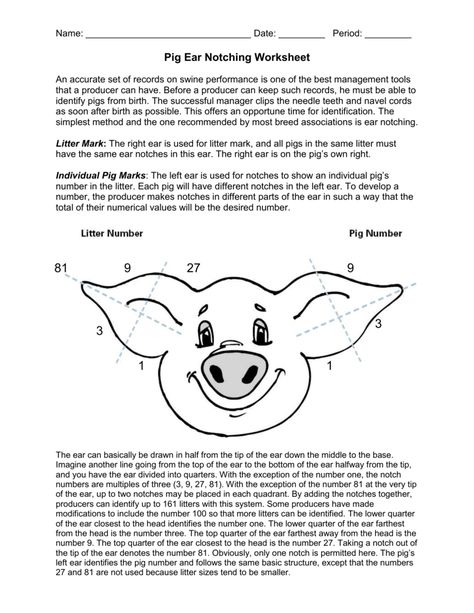 4 H Pig Poster Ideas, Pig Ear Notches, Ffa Classroom, 4h Pigs, Ffa Activities, Agriculture Education Lessons, Showing Pigs, 4h Livestock, Agriculture Education Classroom