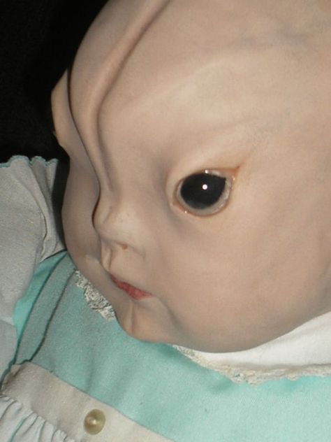 HORROR DOLL/CUSTOMORDER DREN/SPLICE | eBay Horror Reaction Pic, Dren Splice, Gloomy Bear Makeup, Demon Oc Art, Monster Base, Creepy Doll Art, Scary Baby Dolls, Patchwork Doll, Creepy Cute Fashion