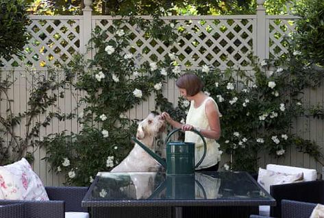 Tiny Courtyard Garden, Tiny Courtyard, Small Cottage Garden Ideas, Vertical Vegetable Garden, Small Courtyard Gardens, Courtyard Gardens Design, Cottage Garden Design, London Garden, Tiny Space