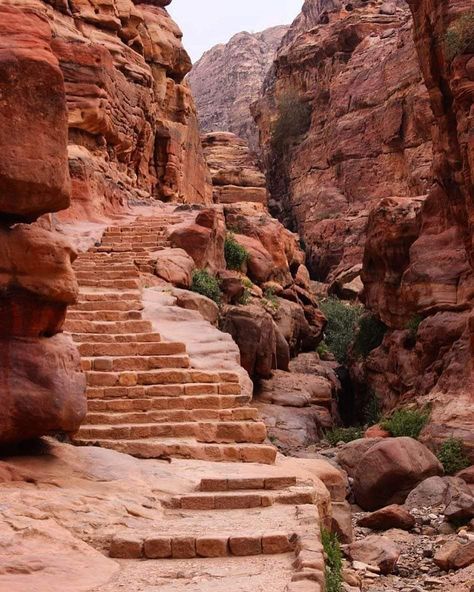 Reflection Pictures, Petra Jordan, Desert Travel, Jordan Travel, Medieval Town, Ancient Ruins, Historical Architecture, Outdoor Photography, Environment Concept Art