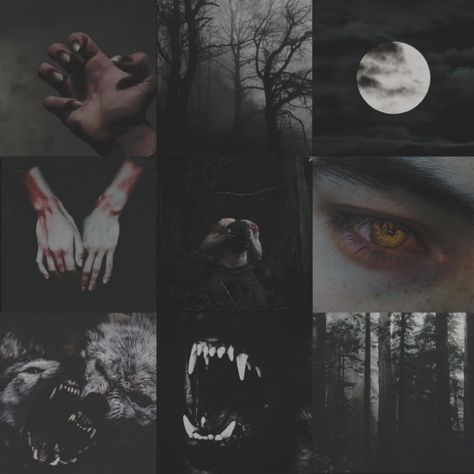 Werewolf Moodboard, Lycanthrope Aesthetic, Werewolves Aesthetic, Werewolf Aesthetic Male, Werewolf Mate, Werewolf Core, Aesthetic Werewolf, Creatures Aesthetic, Brown Werewolf