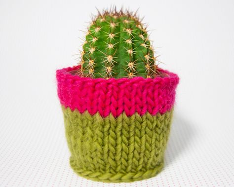 Plant Cozy, Succulent Images, Crochet Box, Plant Pot Covers, Knitted Flowers, Knitting Kits, Plant Pots, Plant Pot, Knitting Inspiration