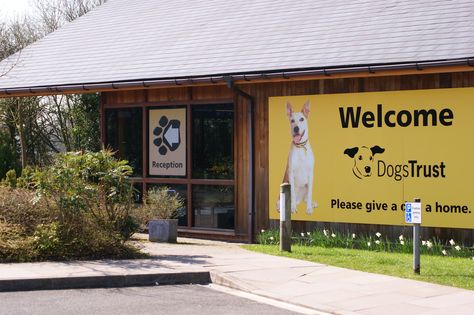 Take a trip to your local Dogs Trust! We have 20 rehoming centres across the Uk - so there's bound to be one near you! Were in Ballymena, Basildon Essex, Bridgend, Canterbury, Evesham, Glasgow, Harefield, Ilfracombe, Leeds, Loughborough, Manchester, Merseyside Liverpool, Newbury, Shoreham, Snetterton, Shrewsbury, West Calder and Kenilworth! Animal Rescue Center, Dogs Trust, Horror Music, Dog Rescue, Movie Genres, Western Movies, Canterbury, Pet Store, Leeds