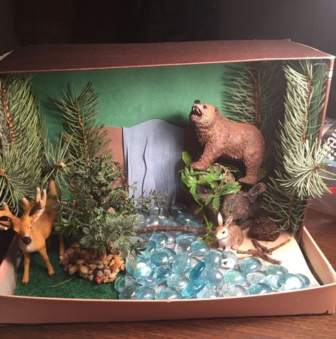 Deciduous Forest Biome, Ecosystems Diorama, Diaroma Ideas, Biome Project, Habitat Diorama, Temperate Deciduous Forest, Deer Habitat, Biomes Project, Diorama Kids