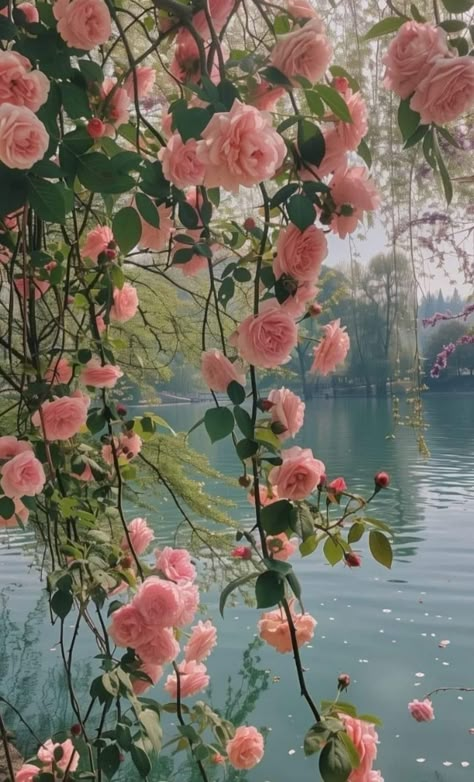 Pretty Landscapes Wallpaper, Pink Garden Aesthetic, Peony Flower Aesthetic, Willow Tree Wallpaper, Pink Floral Aesthetic, Romance Garden, Peony Tree, Peonies Wallpaper, Old Roses