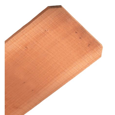 Severe Weather (Common: 11/16-in x 12-in x 6-ft; Actual: 0.625-in x 11.25-in x 6-ft) Western Red Cedar Fence Picket Dog Ear Fence, Cedar Fence Pickets, Fence Picket, Fence Pickets, Southern Yellow Pine, Cedar Fence, Hot Dip, Dog Ear, Wood Fence