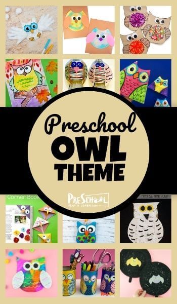 Dr Seuss Preschool Theme, Owl Crafts Preschool, Robots Preschool, Owl Preschool, Frogs Preschool, Owl Activities, Dinosaur Theme Preschool, Owl Theme Classroom, Animal Activities For Kids