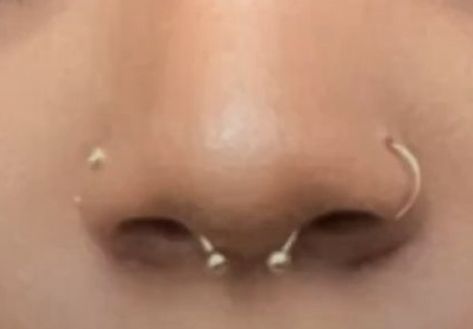 Nose Piercing All 3, Piercings Aesthetic Nose, Nose Piercing Ideas Aesthetic, Double Nostril Piercing With Septum, Nose Piercing Multiple, Nose Piercing Set Up, Matching Nose Piercing, Two Side Nose Piercing, Nose Piercing Both Sides And Septum