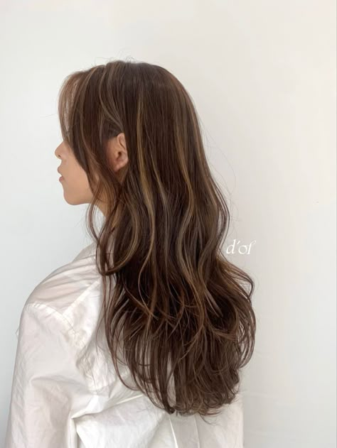 Brown Black Hair Color With Highlights, Hair Color Ideas For Beginners, One Highlight In Hair, Brown Hair W Subtle Highlights, Highlights Not From The Roots, Blond Highlights On Reddish Brown Hair, Hair Dye Ideas For Long Brown Hair, High Contrast Babylights, Aesthetic Hair Highlights Korean