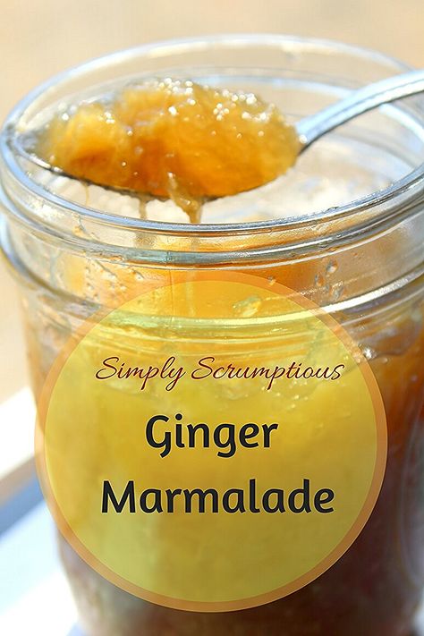 Ginger Preserve Recipe, Ginger Marmalade Recipe, Preserve Recipes, Ginger Marmalade, Ginger Jam, Marmalade Recipe, Jam Recipes Homemade, Trim Healthy Mama Recipes, Jam And Jelly