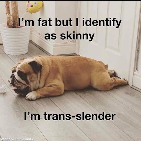 Fat Person, I'm Fat, Belly Laughs, Twisted Humor, English Bulldog, Funny Signs, Bones Funny, Funny Cute, Puppy Love