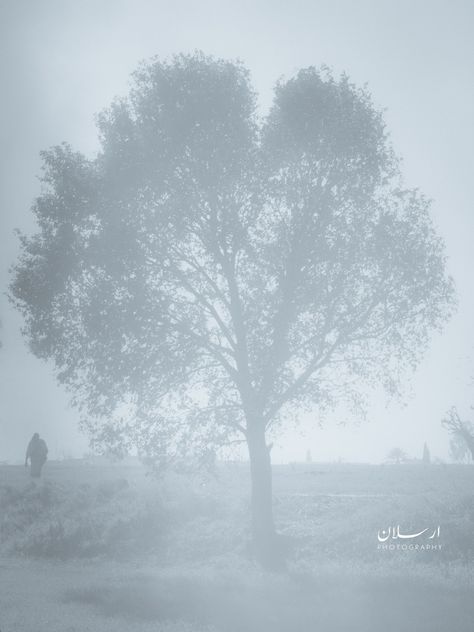 Click in the winter morning Kalyam Village Punjab . Winter Mornings, Foggy Morning, Street Photographers, Street Photography, Photographer, Photography