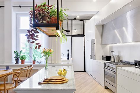 Suspended shelf above island counter in bright, open-plan kitchen Hanging Plant Over Kitchen Island, Hanging Shelf Above Kitchen Island, What To Hang Above Kitchen Island, Hanging Shelf Over Kitchen Island, Ceiling Shelf Kitchen, Kitchen Island Hanging Plants, Plants Above Kitchen Island, Suspended Shelves Kitchen, Kitchen Island Shelf