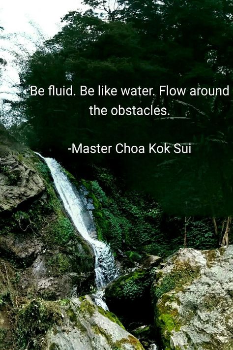 Quotes Of Inspiration, Be Like Water, Eckart Tolle, Water Quotes, Pranic Healing, Brave Quotes, Smart Quotes, Wing Chun, Tai Chi