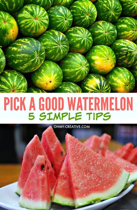 Wonder no more on How To Pick A Good Watermelon. These 5 simple Tips will have you selecting a delicious ripe juicy watermelon every time! Watermelon Ripeness, Good Watermelon, Lemonade Popsicles, Watermelon Cocktail, Sweet Watermelon, Fruit Picking, Watermelon Lemonade, Ripe Fruit, Food Info