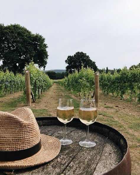 Napa Valley Aesthetic, Vineyard Aesthetic, Vineyard Outfit, Wine Vineyards, Wine Photography, Italy Wine, Summer Wines, Summer Afternoon, Foto Tips