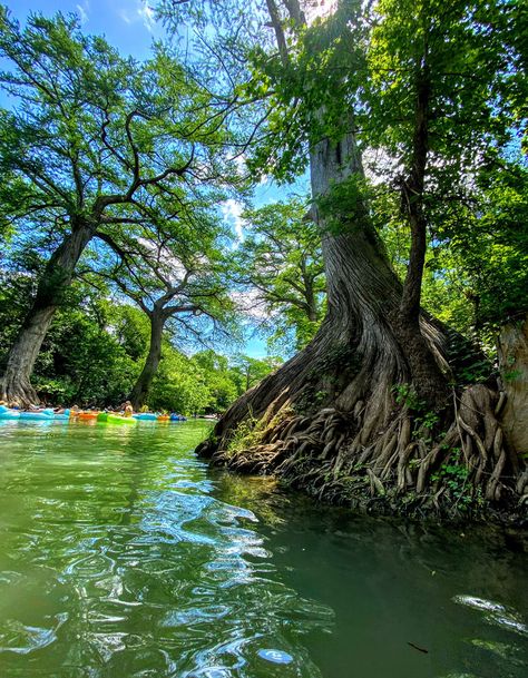 San Marcos River, Summer To Do List, Moving To Texas, Canyon Lake, Fish Camp, My Summer, San Antonio Tx, Days Out, Good Time