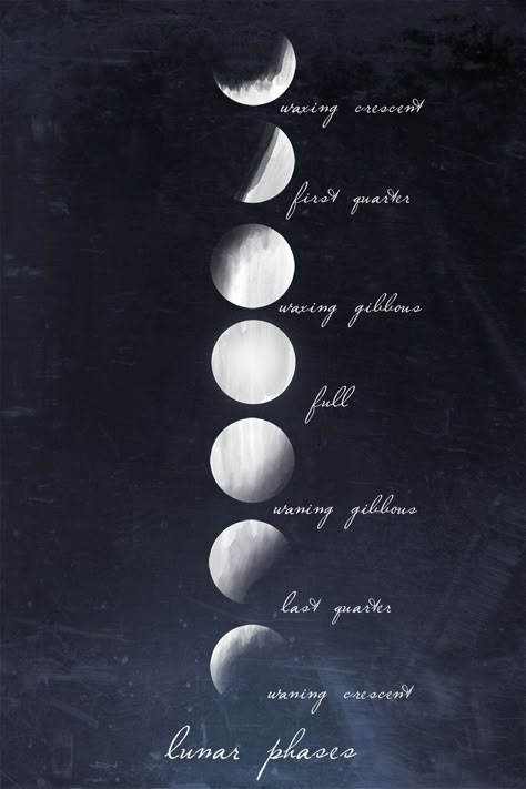 ... Decor | Pinterest | Moon Phases, Moon Cycle Tattoo and Cycling Tattoo Sun Phases Tattoo, Selenophile Tattoo, Moon Cycle Wallpaper, Lunar Phases Tattoo, Lunar Cycle Tattoo, Aesthetic Moon Phases, Moon Phases Wallpaper, Cycle Tattoo, Moon Cycle Tattoo