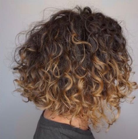 Dark Blonde Highlights, Short Curls, Hair 2018, Curly Bob Hairstyles, Curly Hair Cuts, Short Curly Hair, Curly Hairstyles, Short Bob Hairstyles, Blonde Highlights