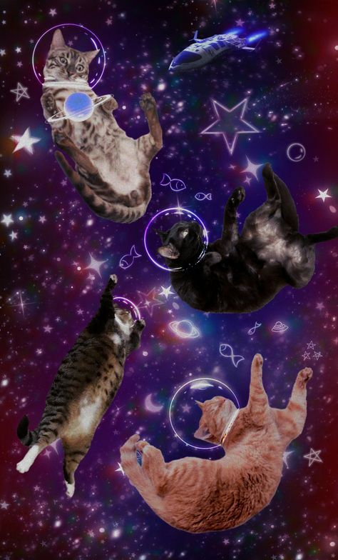 Space Cat Wallpaper Cat Space Wallpaper, Cat In Space Wallpaper, Silly Cats Wallpaper, Galaxy Cat Wallpaper, Cat Background Wallpapers, Internet Awesomesauce, Space Cat Wallpaper, Cat Drawing Wallpaper, Meow Wallpaper