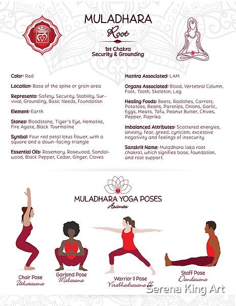 The root chakra (aka Muladhara) yoga asanas poses with chart information on the chakra. Root Chakra Information, Yoga Root Chakra, Red Root Chakra, Muladhara Chakra Yoga, Chakra Poses, Root Chakra Yoga Poses, Chakra Yoga Poses, Root Chakra Yoga, Red Chakra