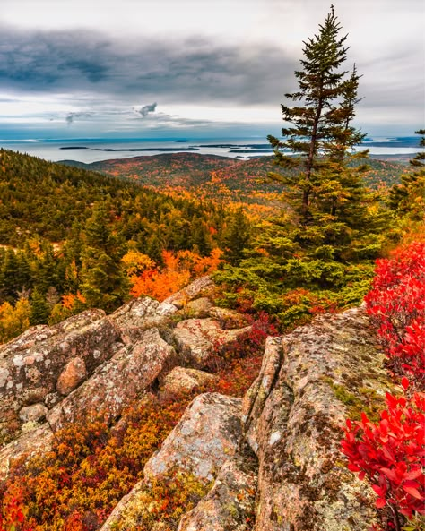 Acadia National Park Fall, Maine National Park, Acadia Maine, Maine In The Fall, National Park Itinerary, Acadia National Park Maine, Coastal Maine, New England Fall, Forest Trail