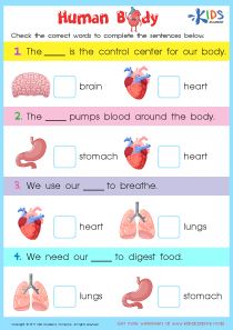 Internal Organs Worksheet, Printable PDF for Kids My Body Worksheet For Grade 2, Internal Organs Worksheet, Human Body Worksheets For Kids, Human Body Systems Projects, Body Systems Project, Evs Worksheet, Human Body Lesson, Human Body Printables, Classifying Animals